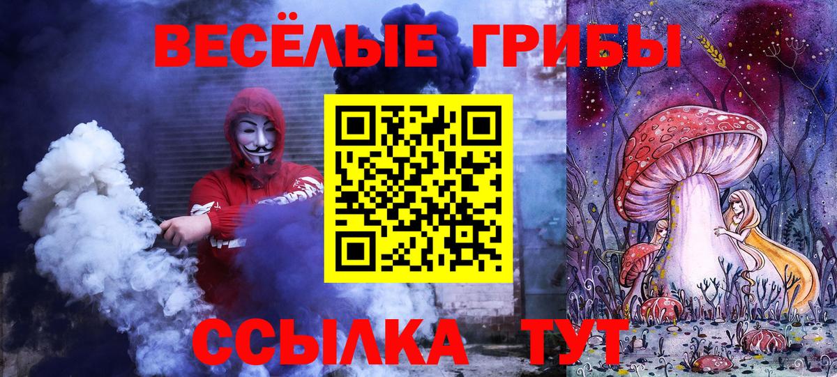 Галлюциногенные грибы Magic Shrooms  Вход с VPN  Псилоцибиновые грибы Psilocybe  Тельмана 